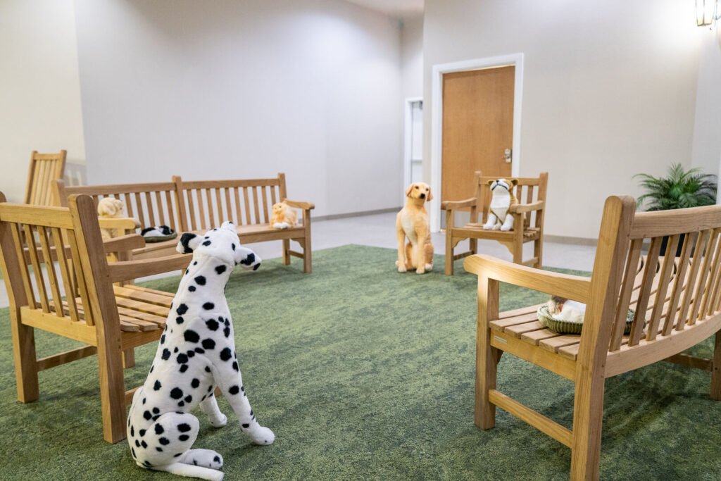 Pet Therapy Lounge with Plush Animals at Memory Care Homes